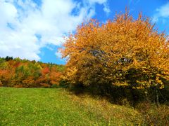 Last autumn