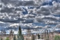 Painterly 2
