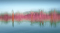 Reflection_SoundWave