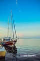 Lonely ship