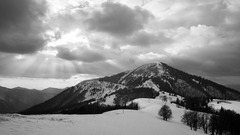 Borišov  ČB