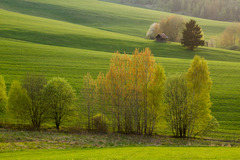 Jarná krajina
