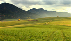 Liptovské lúky
