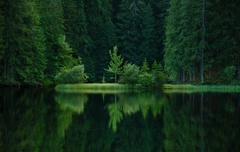Vrbické pleso