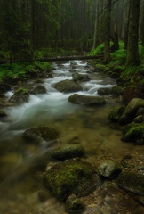 Demänovka