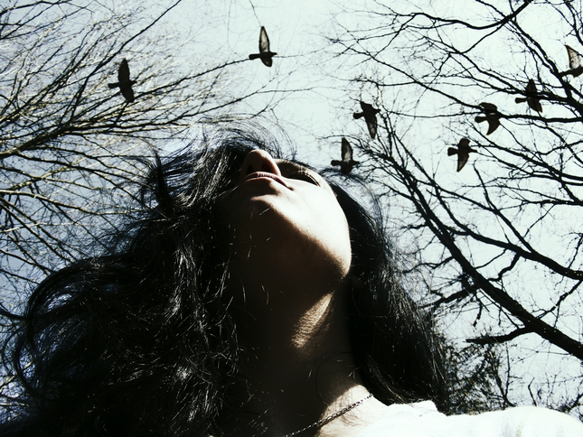 birds