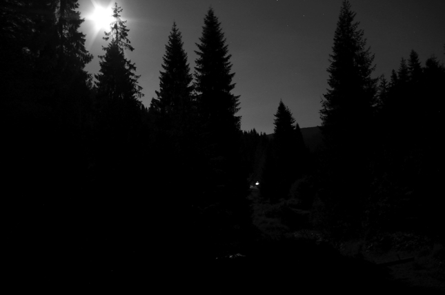 noc na okraji lesa