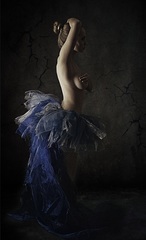 swan