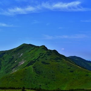 Fatra