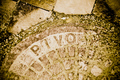 Pivo