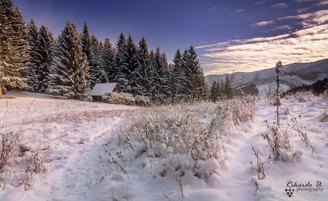 Schovaná chatka v zimnej krajine