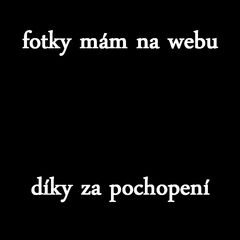 prej nemám žádné fotky...
