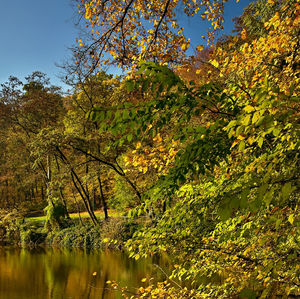 Jeseň 2015 II.