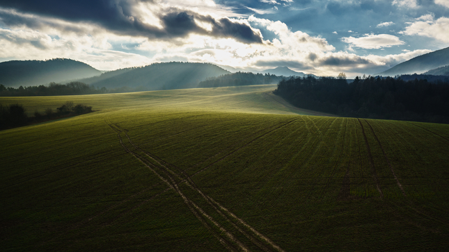 Podhorská vlna