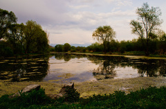 Rybnik na jar - Liptov, Lisková