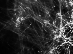 Refractography 1