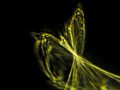 Refractography 2