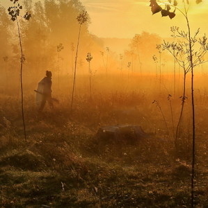 mystical morning