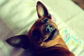 smile