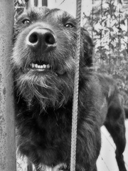 smile from an old friend