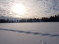 Štrbske pleso