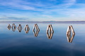 Neusiedler See