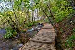 Plitvicke vodopady