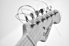 Fender