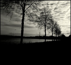 almere