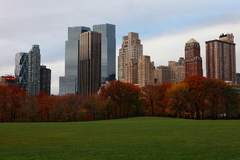 Central park