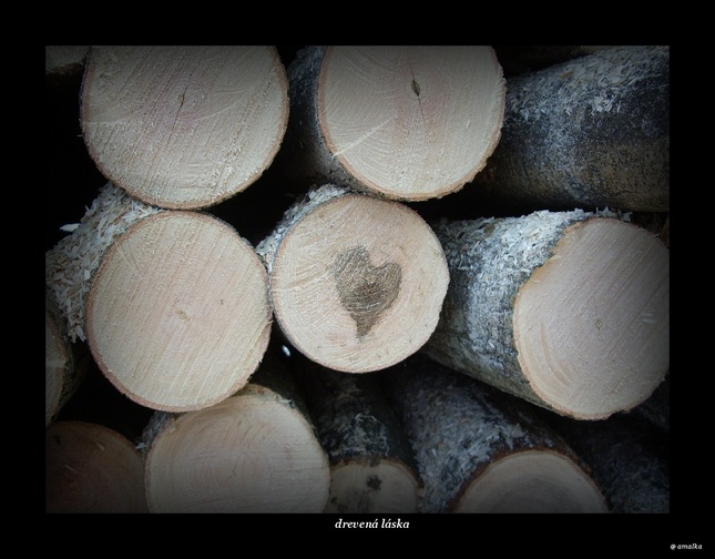 drevená láska