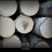 drevená láska
