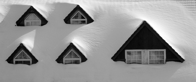 Windows winter basic edition.