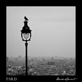 Paris II.