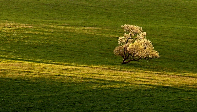 ...jarná