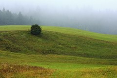 Keď sa jeseň vkráda