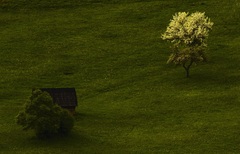 ...podvečer na lúkach