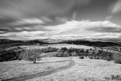 Budiná B&W