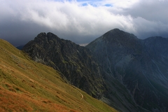 Ostrý roháč