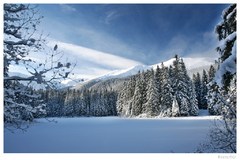 Vrbické Pleso