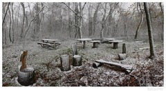 Obradné miesto Druidov 