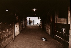 barns