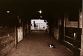barns
