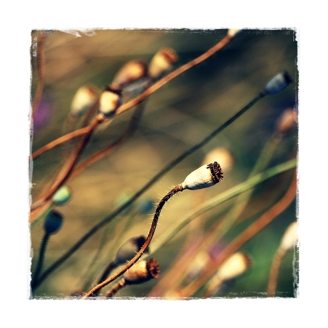 ... v spleti myšlienok ...