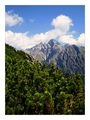 V kosodrevine