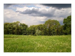 Keď je pekne zamračené