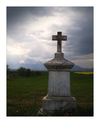 Viem jedno hniezdo.Rád ho mám.