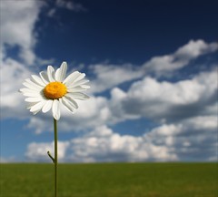 Pekný víkend vám všetkým...:)