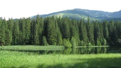 Vrbické Pleso