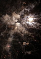 PF2009